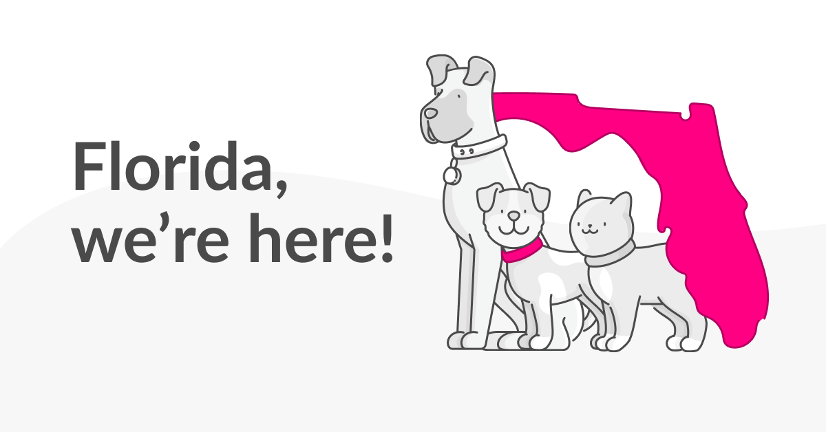 Pet Insurance in Florida for Dogs & Cats • Lemonade