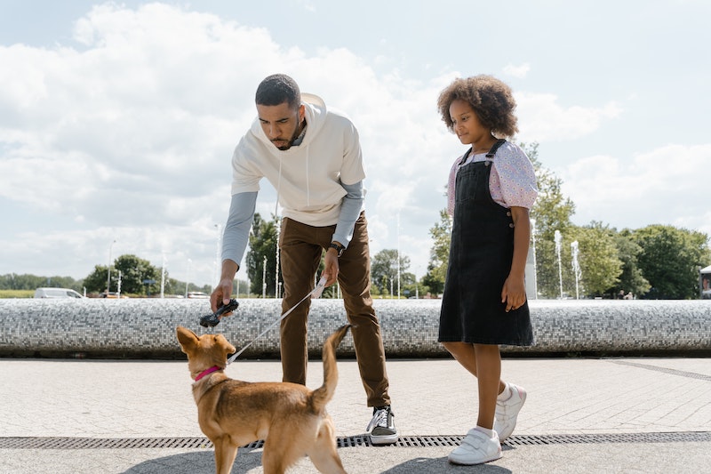 dog training for kids