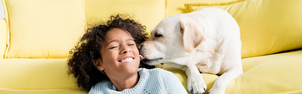 dog training for kids