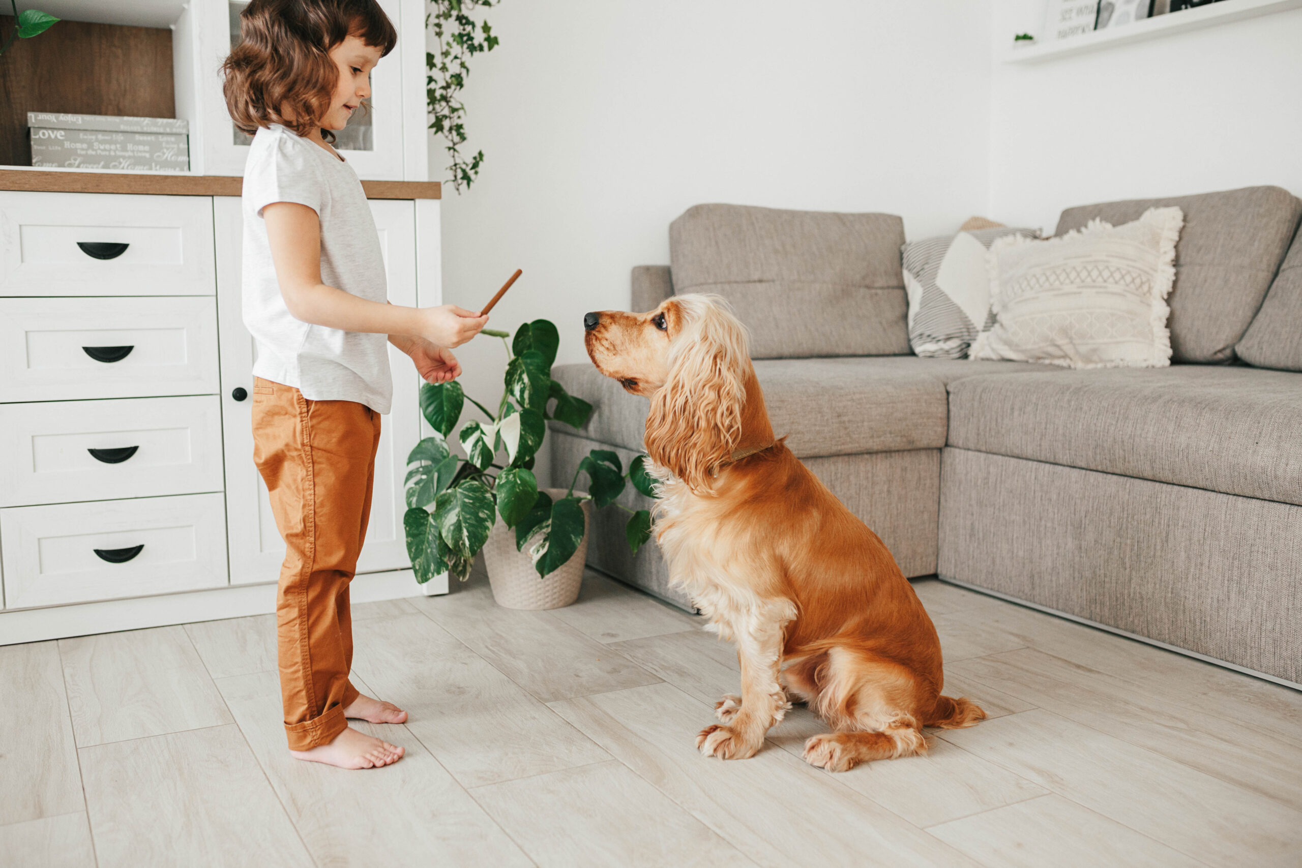 dog training for kids