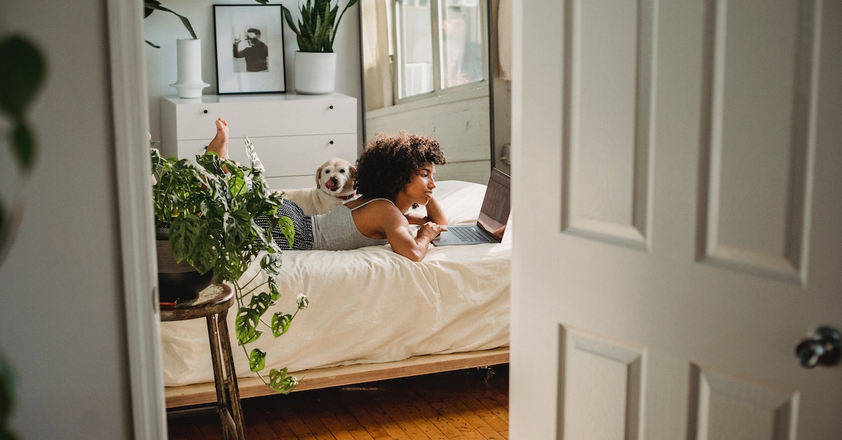 The Ultimate Lemonade Pet FAQ • Lemonade Insurance