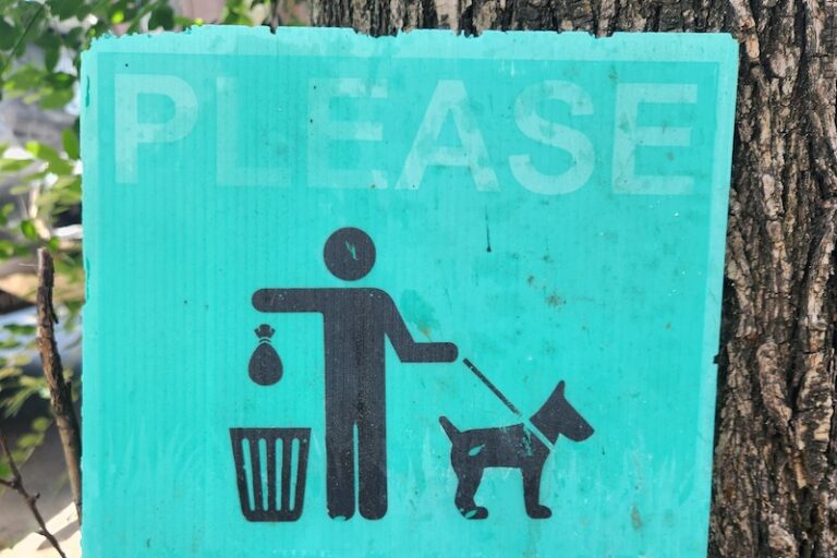 Pick Up Dog Poop • Lemonade Pet