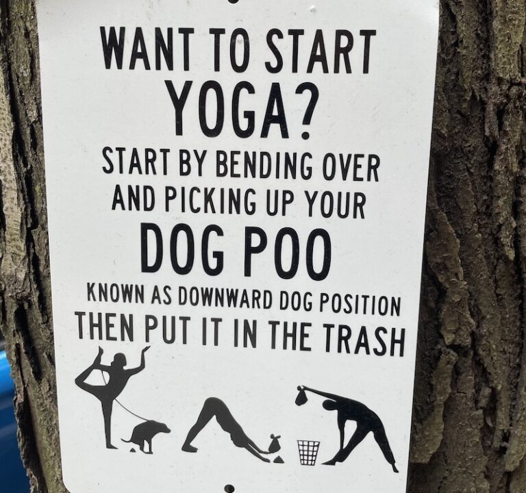 Pick Up Dog Poop • Lemonade Pet