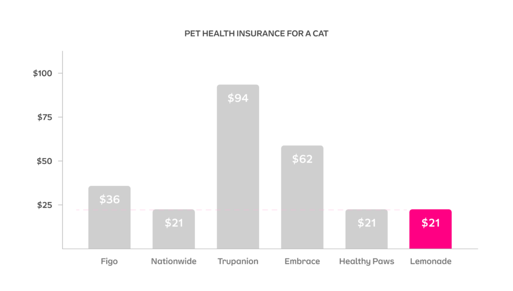 The average cost of cat insurance for an average cat is $42/month.