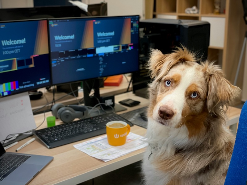 tech inspired dog names