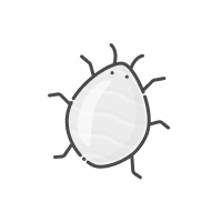 Preventative Medication