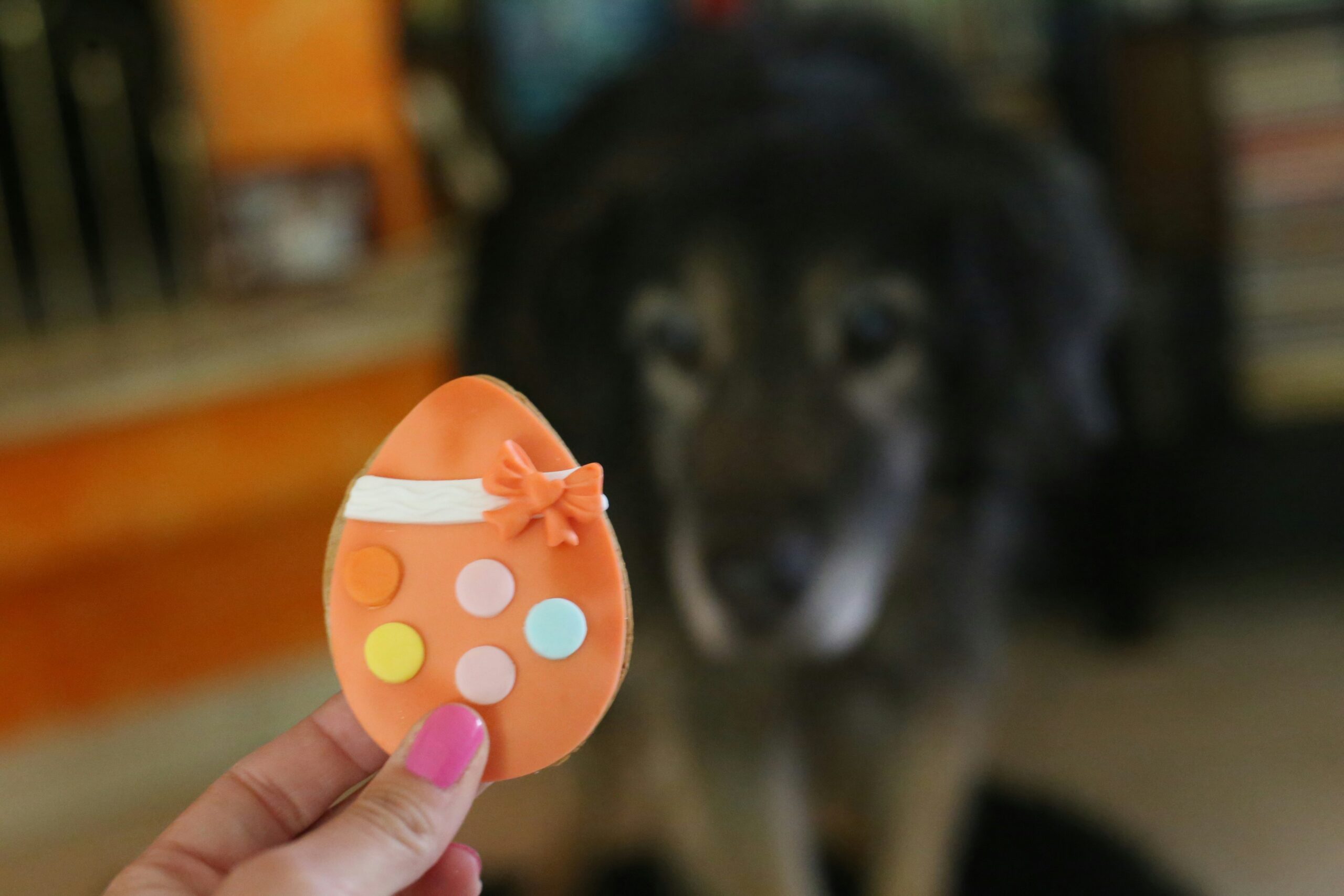 easter names for pets