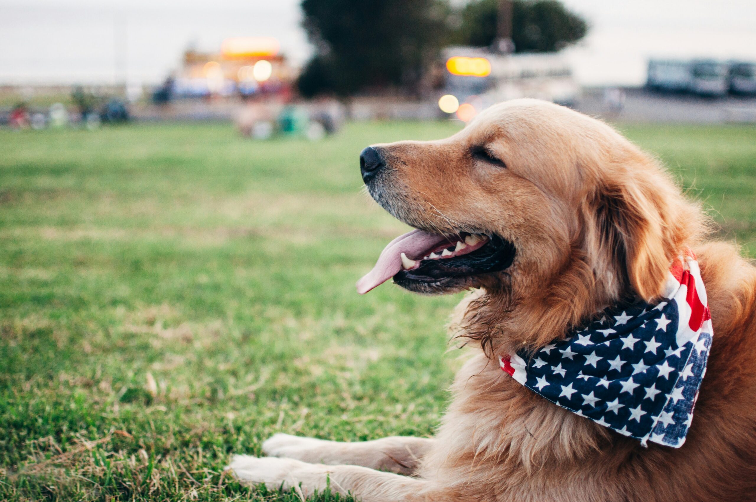 female patriotic dog names