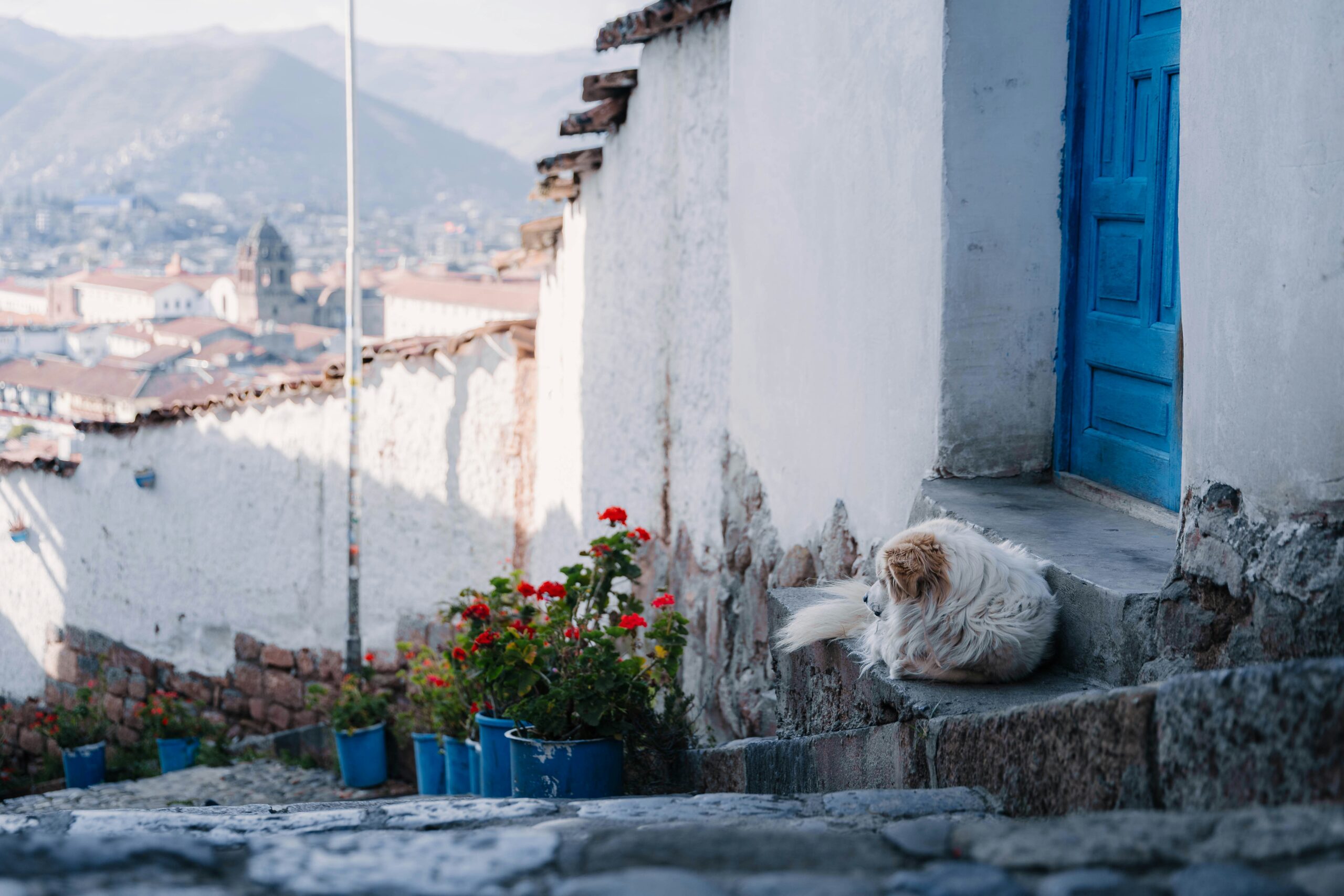 female peruvian dog names