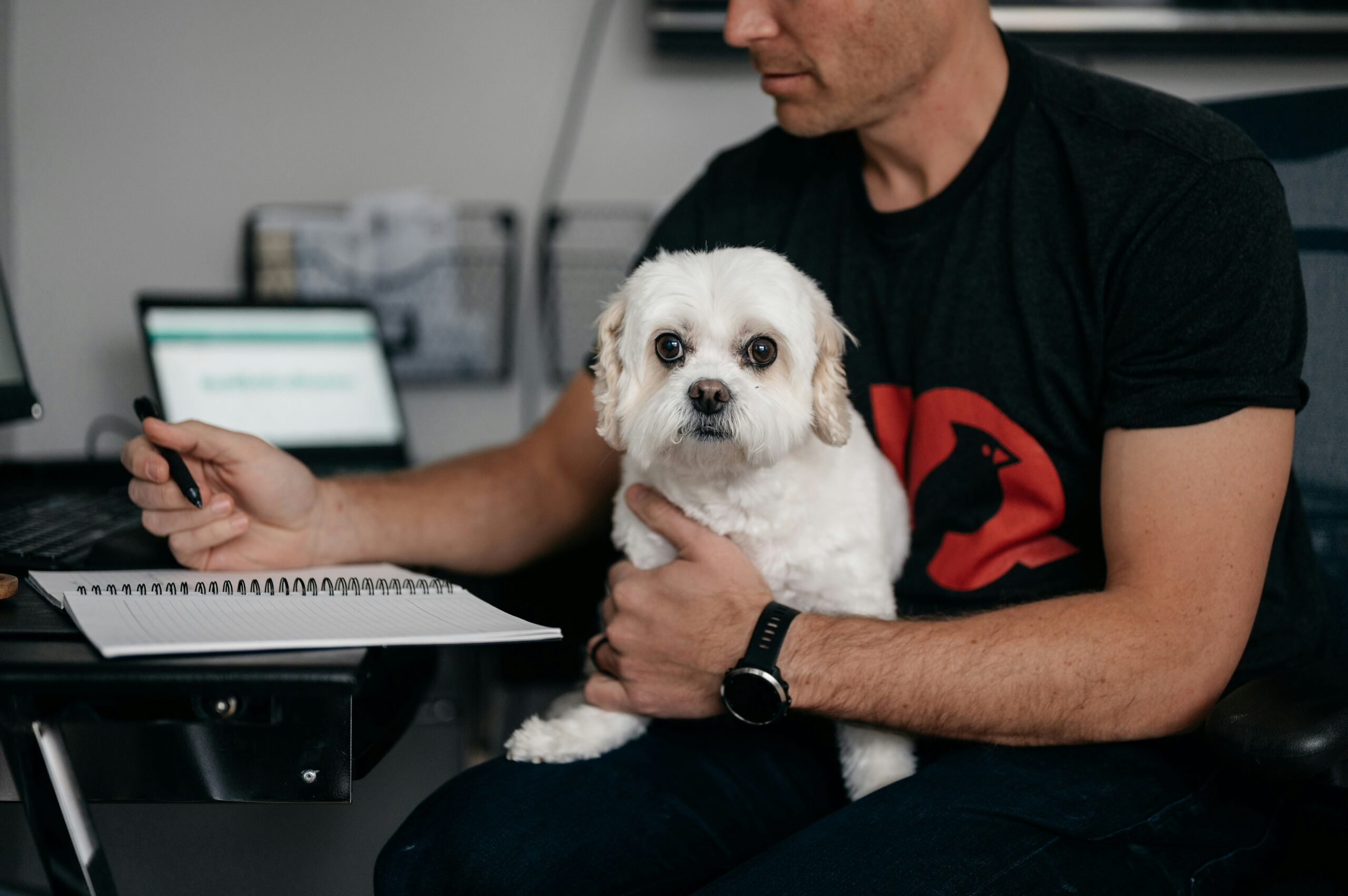 how to become a vet