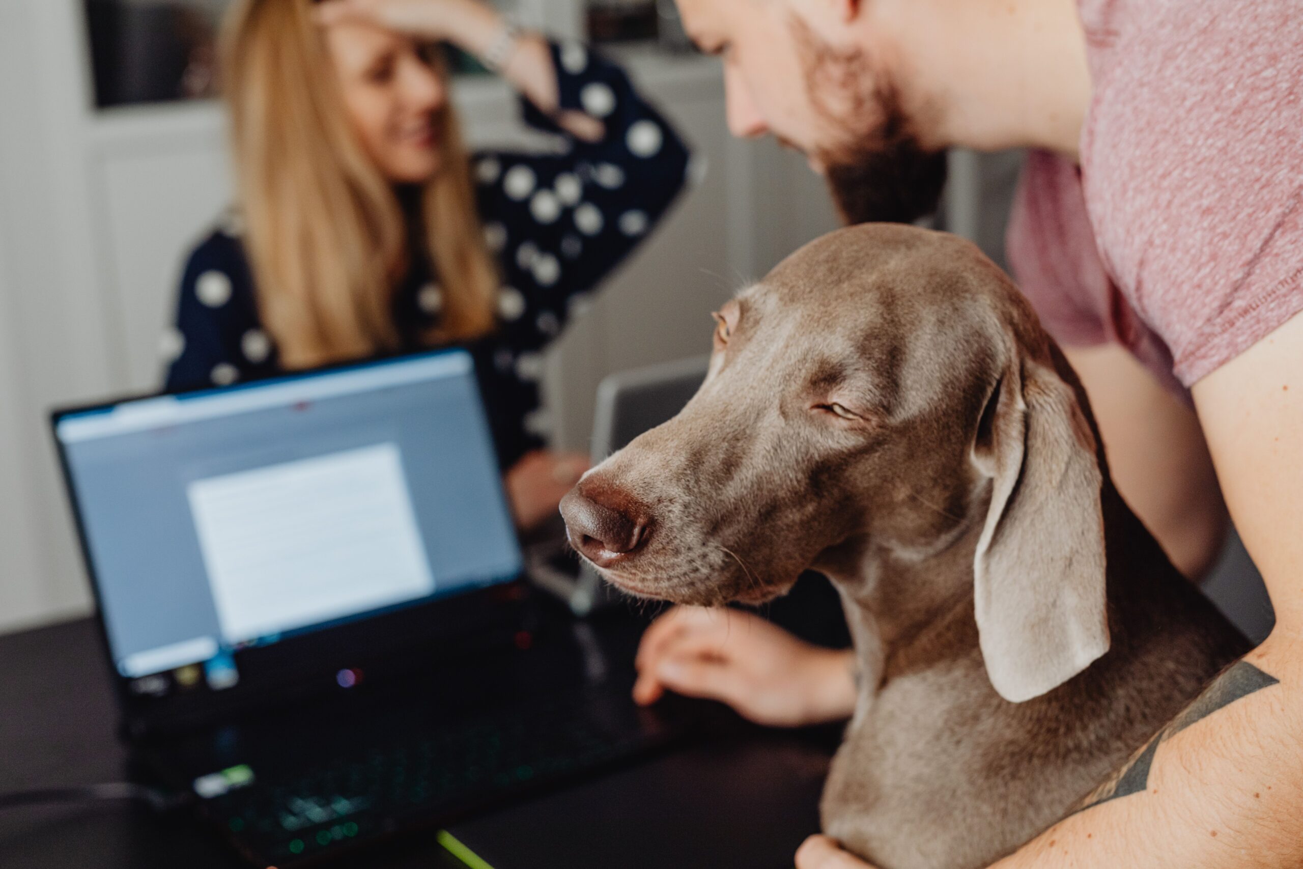 waive pet insurance waiting period