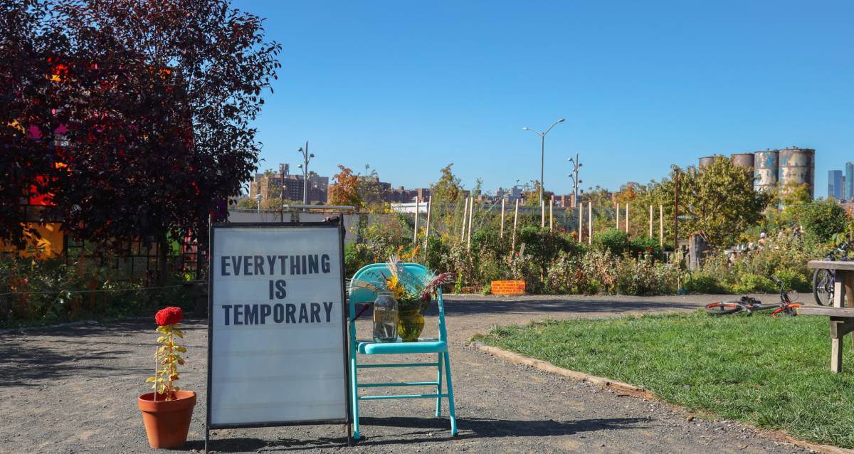 Hope grows in Brooklyn.