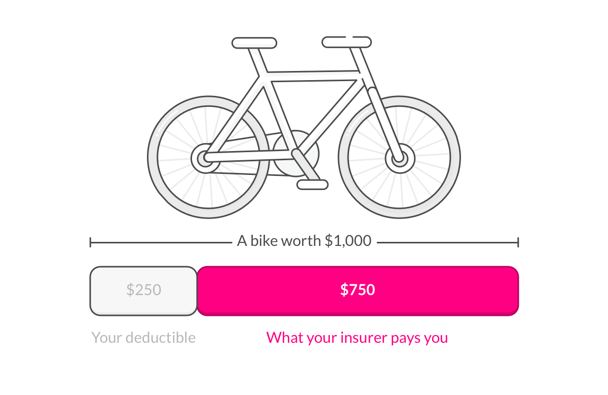 velo insurance premium