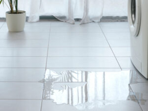 Does Renters Insurance Cover Water Damage? • Lemonade