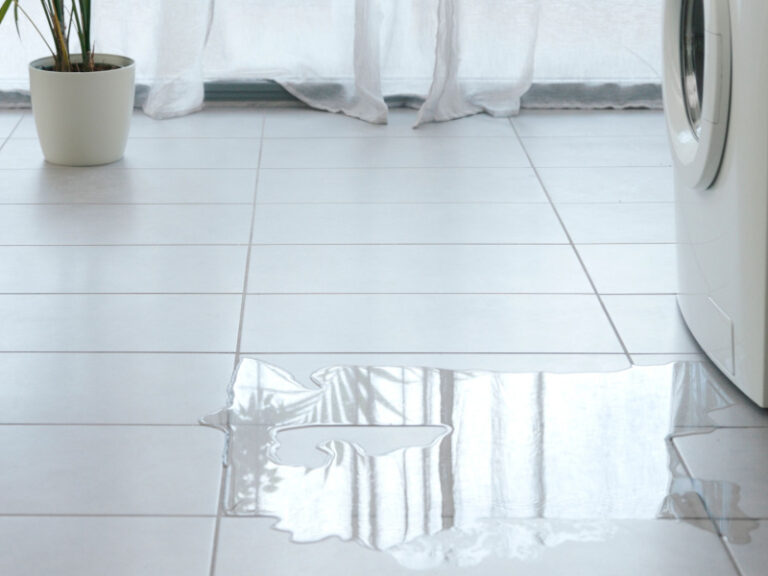 Does Renters Insurance Cover Water Damage Lemonade