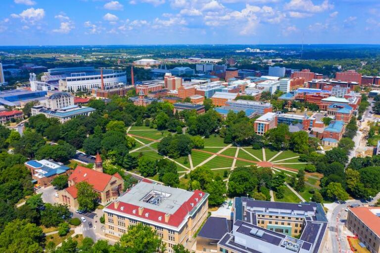Best Cities for Young Professionals for 2024 • Lemonade Insurance