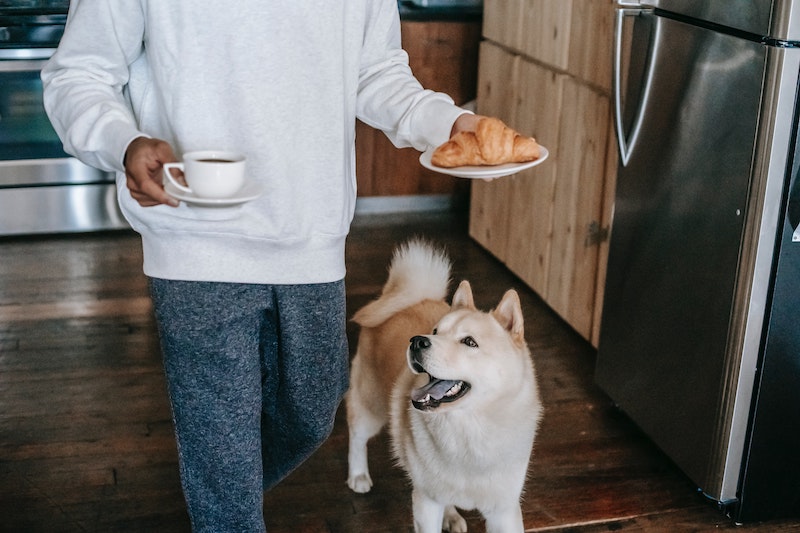 Ask potential roommates if they have, or want, pets.