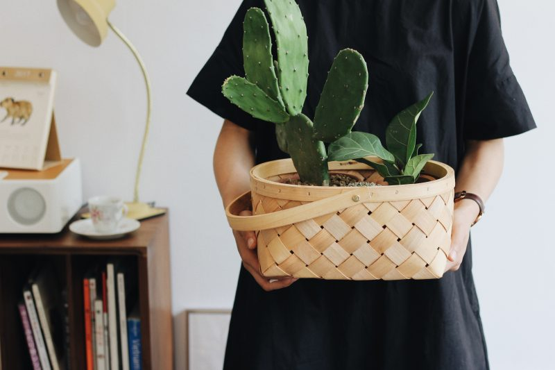 Stop watering your plants a few days before your move, so they're not too heavy on the big day.