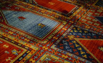 Does Renters Insurance Cover Carpet Damage? | Lemonade