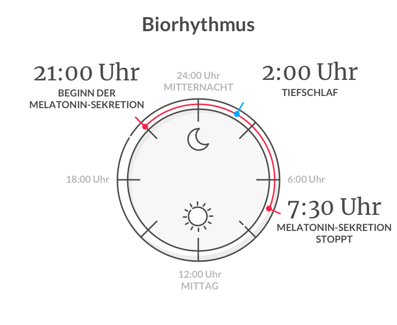 Biorhythmus