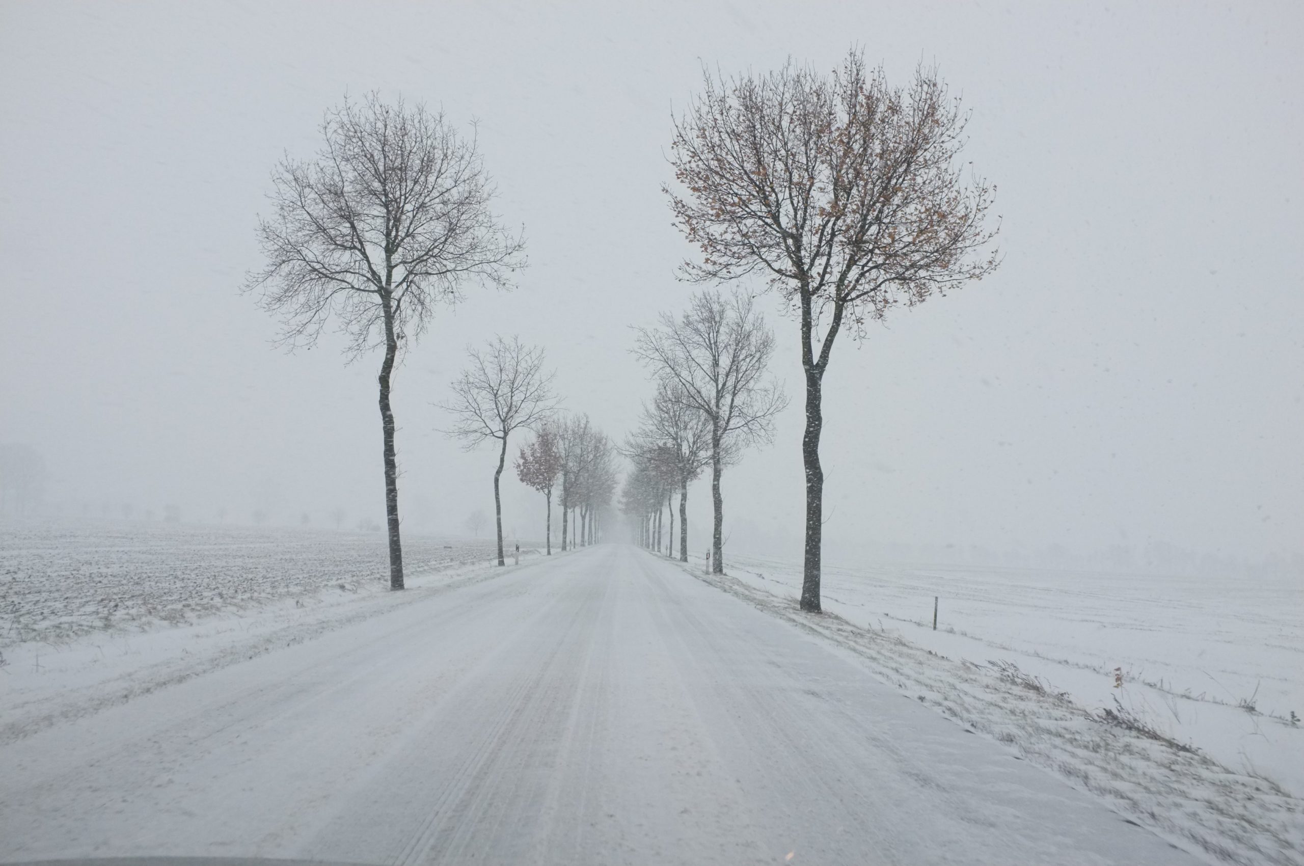 Lemonade Tipps gegen den Winterblues