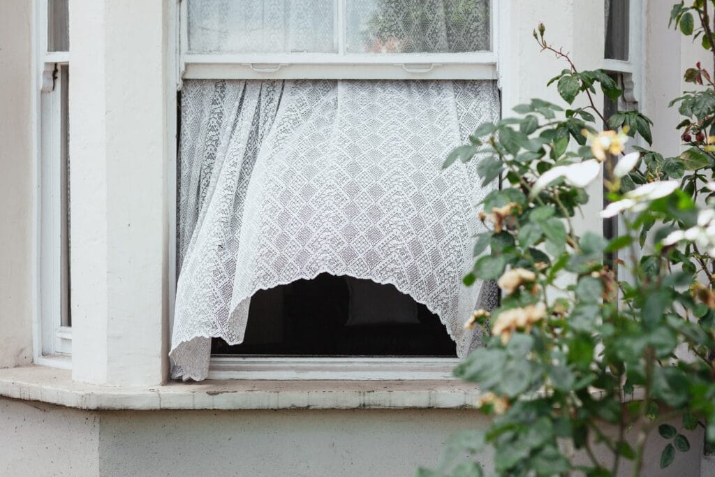 Tipps, um Schimmel vorzubeugen