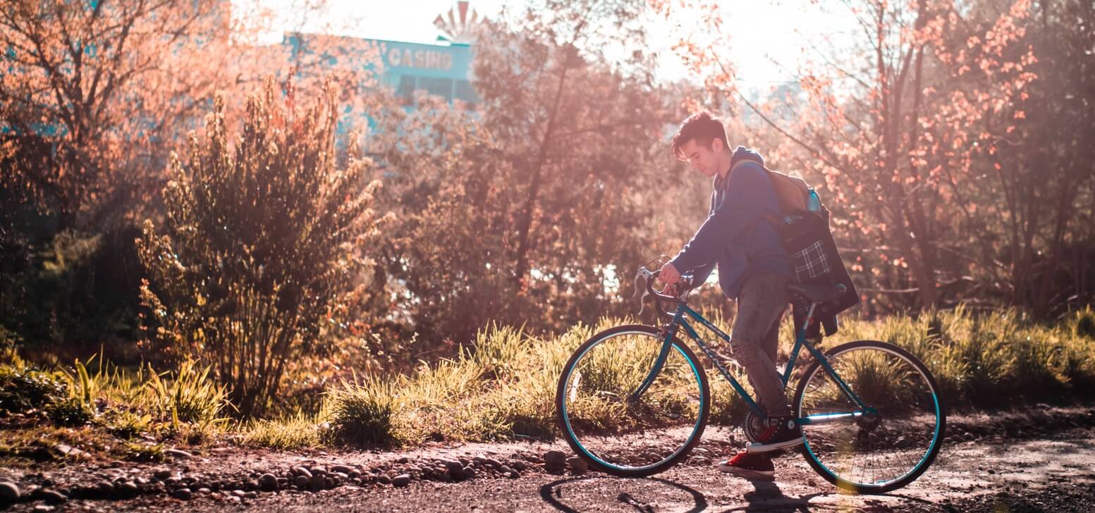 Lemonade bicycle insurance