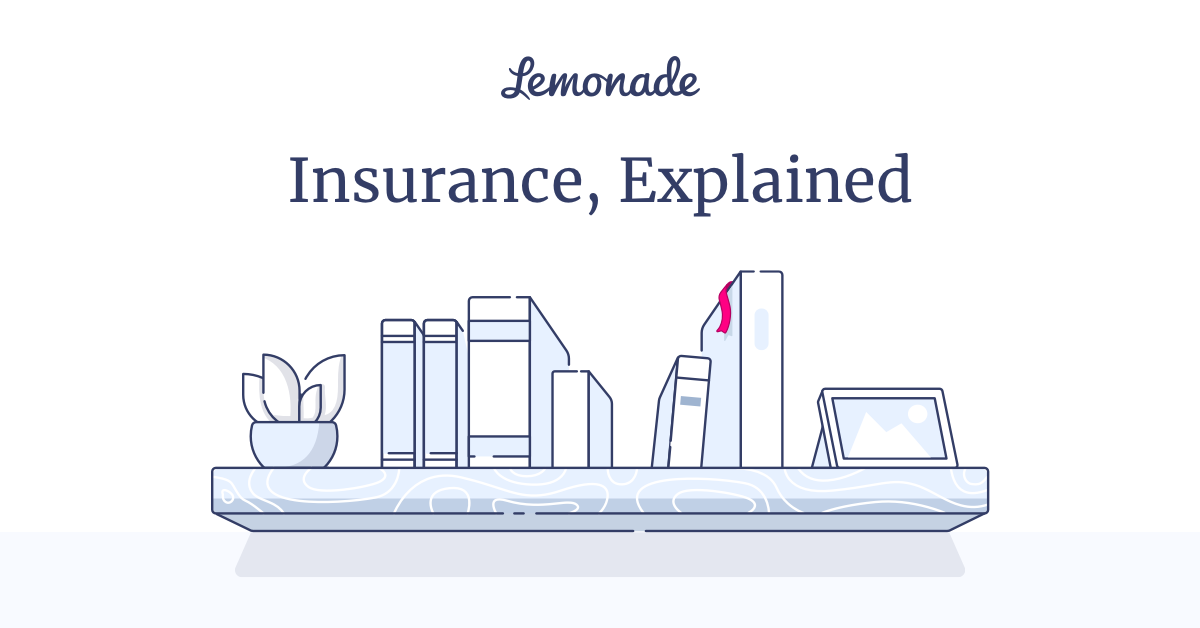 Insurance Terms in Plain English | Insuropedia by Lemonade
