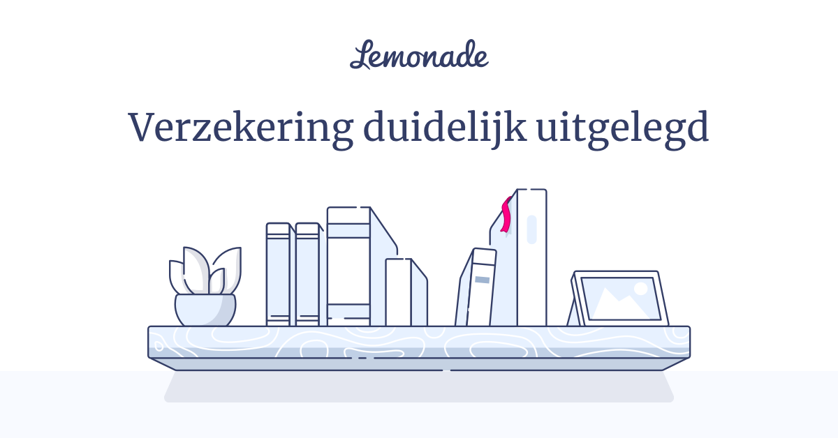 Verzekeringstermen uitgelegd Verzekeringswoordenboek van Lemonade